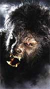 Benicio del Toro, como Hombre-Lobo Benicio del Toro, como Hombre-Lobo